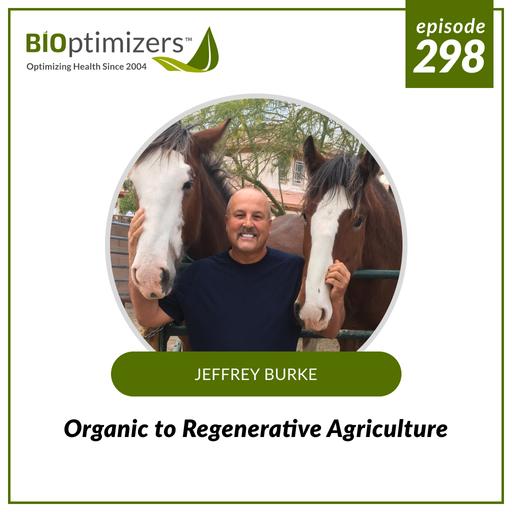 298: Organic to Regenerative Agriculture - with Jeffrey Burke