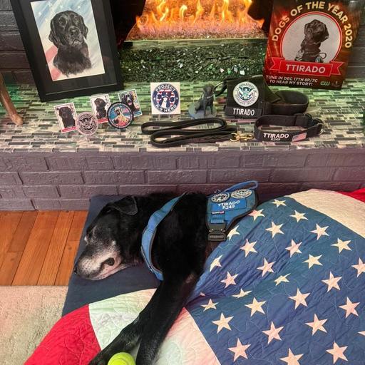 Honoring Working Dogs!