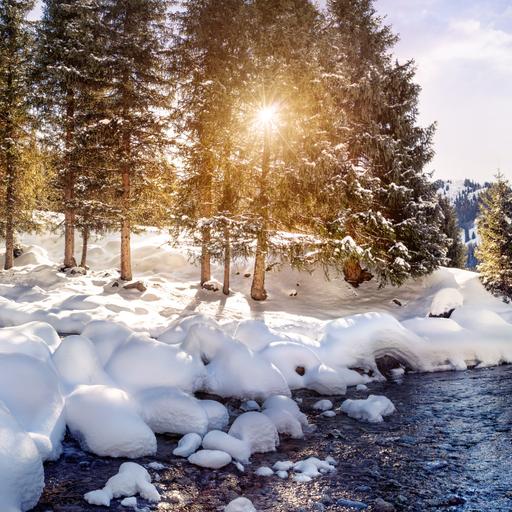 255: What Actually Helps When You're Stuck in Worry