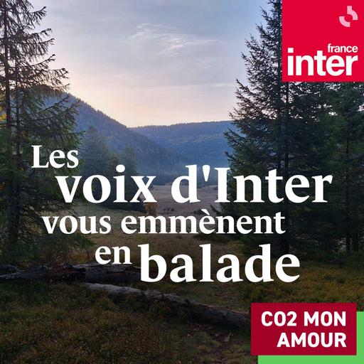 Les voix d'Inter vous emmènent en balade : Sur les traces de Charline Vanhoenacker, Tanguy Pastureau, François Morel et Tanguy Pastureau