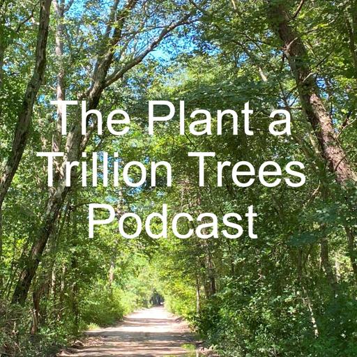 Episode 205 - Orsolya (Orsi) Lazar is an urban forester and an ISA Certified Arborist.