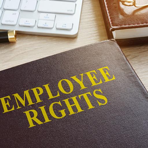 The Employment Rights Bill: An update