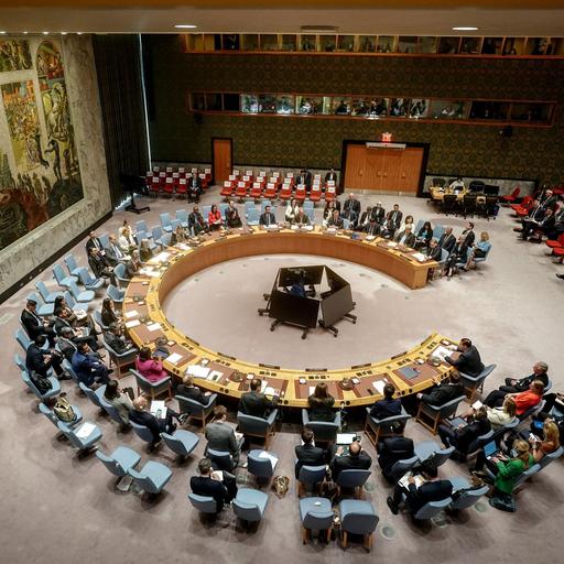 Braucht es den UN-Sicherheitsrat überhaupt noch?