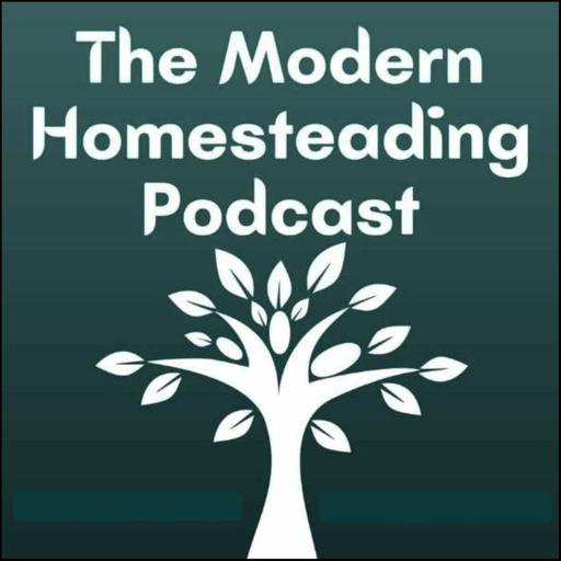 Winter Homestead Reality Check: What Actually Gets Done