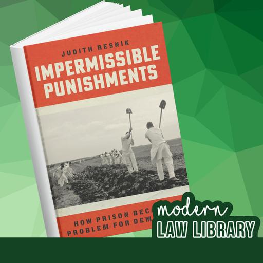 What place do prisons have in democracies?