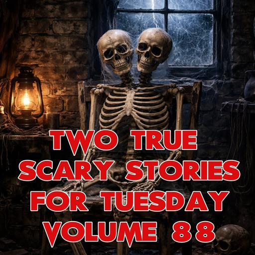 Two Scary Stories For Tuesday Volume 88