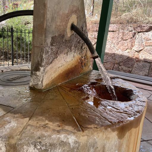 These little microbes may help solve our big problems