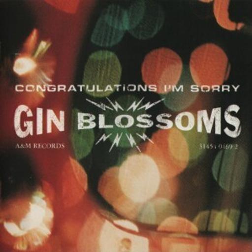 What Came Next... Gin Blossoms: Congratulations I’m Sorry