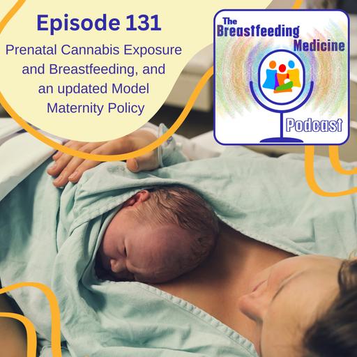 Prenatal Cannabis Exposure and Breastfeeding, and an updated Model Maternity Policy