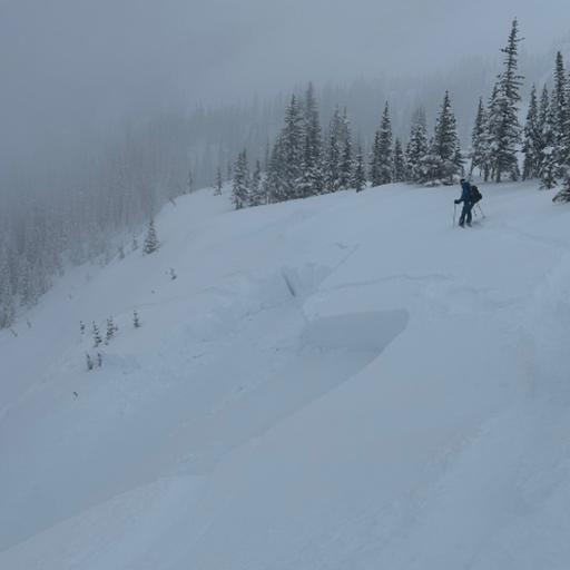 Bonus Episode- Lessons from the Slopes- An Avalanche Experience - Rob and Mark