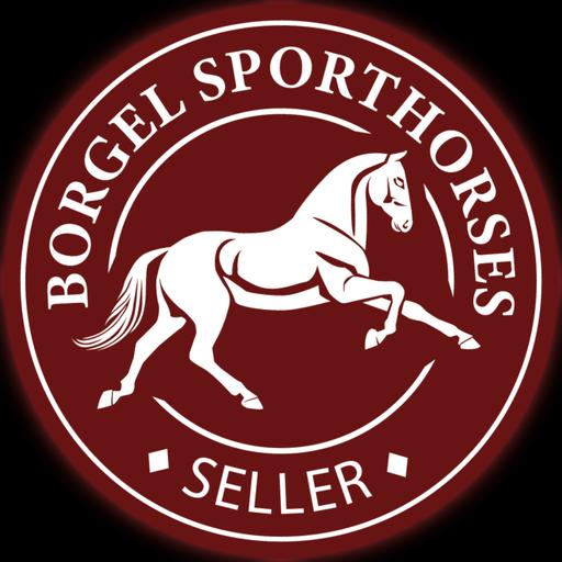 Hinter den Kulissen von Borgel Sporthorses