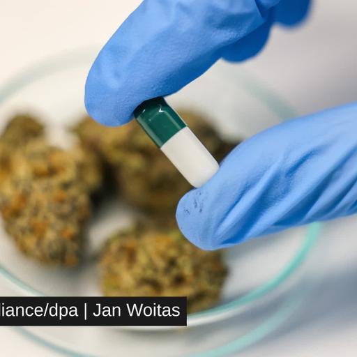 Experten für Nachbesserungen am Medizinal-Cannabisgesetzentwurf