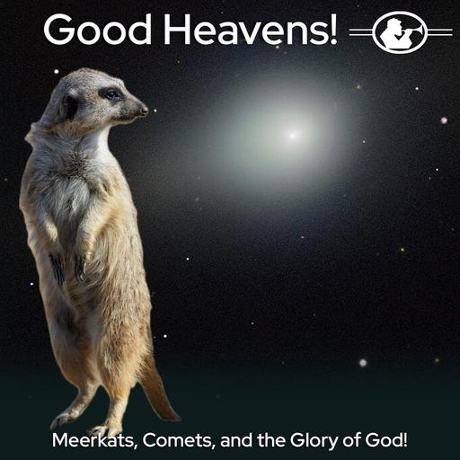 Meerkats, Comets, and the Glory of God!