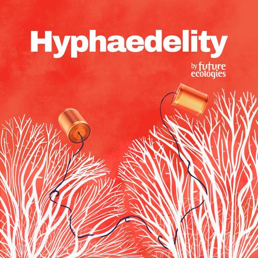 [HYPHAEDELITY] Eric Higgs x Laura Govers — Seagrass Restoration on a Moving Island