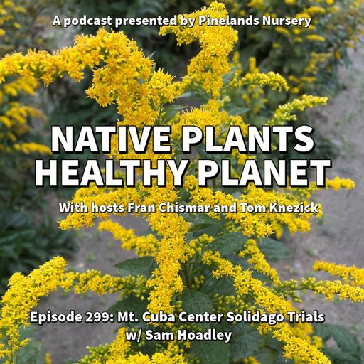 Mt. Cuba Center Solidago Trials with Sam Hoadley
