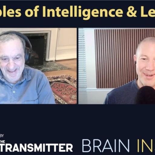 BI 229 Tomaso Poggio: Principles of Intelligence and Learning
