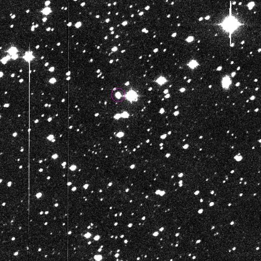 882-David’s Goliath PHA