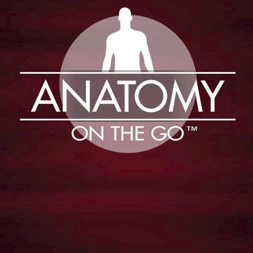 Episode 80 - The Connections between Anatomy Systems