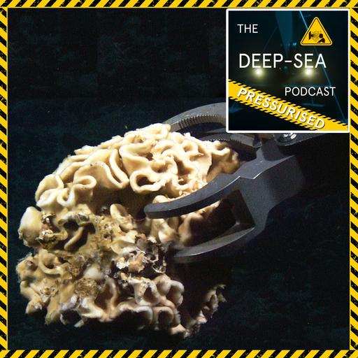 PRESSURISED: 065 – Giant Testate Protists with Professor Andrew Gooday