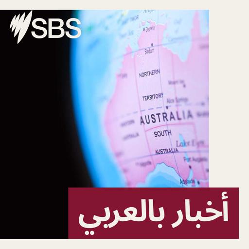 نشرة أخبار الظهيرة 22/1/2026