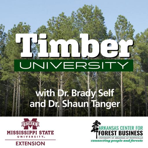 Raking Pine Straw for Non-Timber Income | Timber University #525