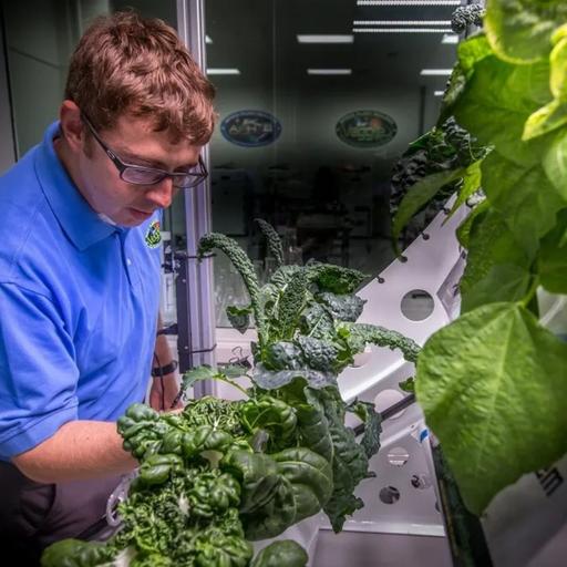 373E-407-Plant Companionship