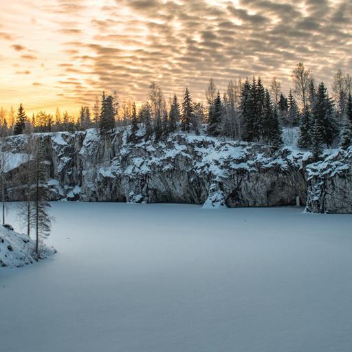 256: New Year's Resolutions 4-Week Check-in