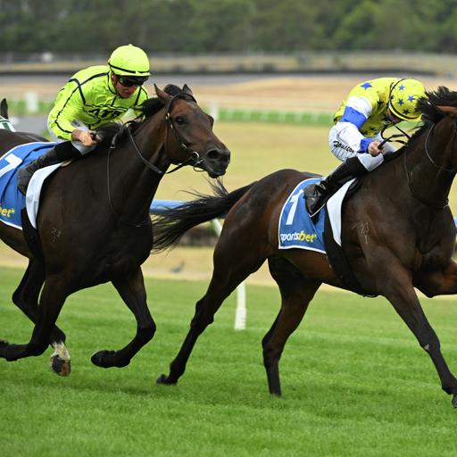 Ozempic Savings Money, Mario Gets a Race Horse Named After Him & More!