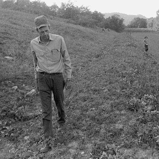 Wendell Berry's "Sabbath IV, 1996"