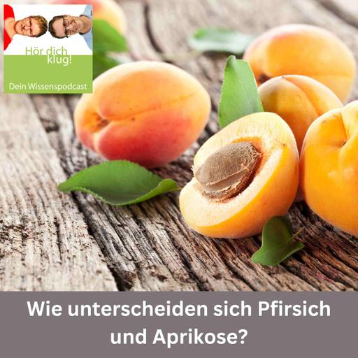 Wie unterscheiden sich Pfirsiche und Aprikosen?