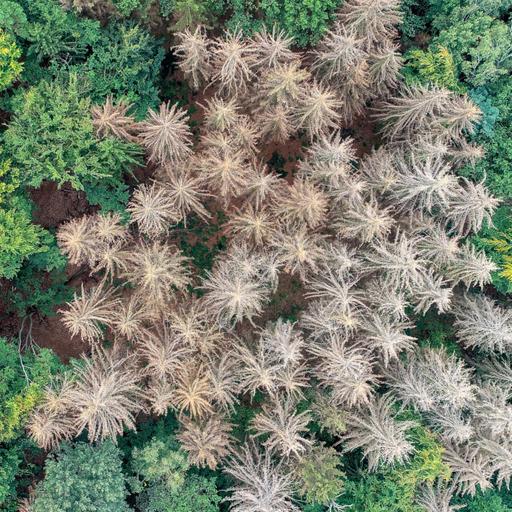 Frauke Rostalski: Klimawandel und Verantwortung