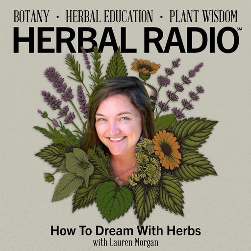 How to Dream with Herbs | Featuring Lauren Morgan
