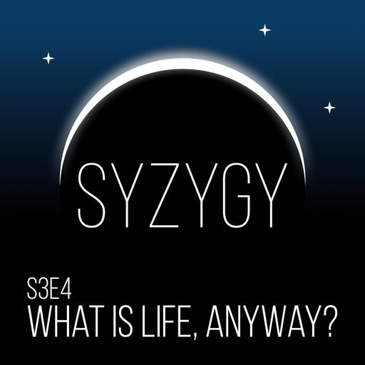 s3e4: What IS Life, Anyway?