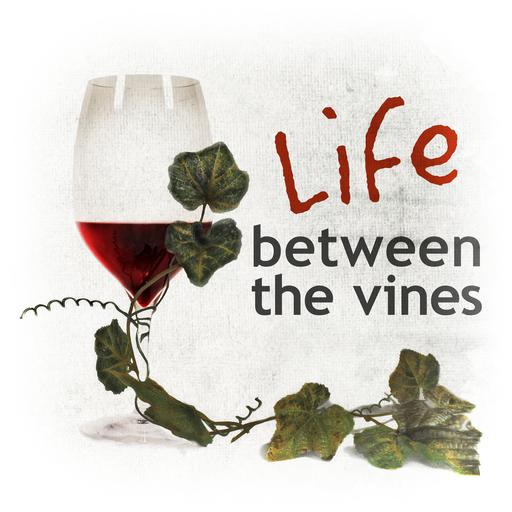 Vino Lingo – “Rubbin’ Buds” Isaac Johnson, Cellar Worker, Parallel 44 Winery, Kewaunee, Wisconsin