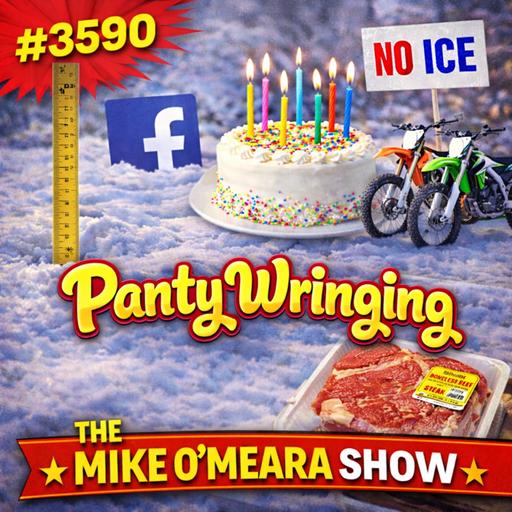 #3590: Panty Wringing