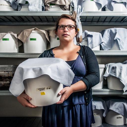 The Science of Food: Steaks, Bugs and Expiration Dates