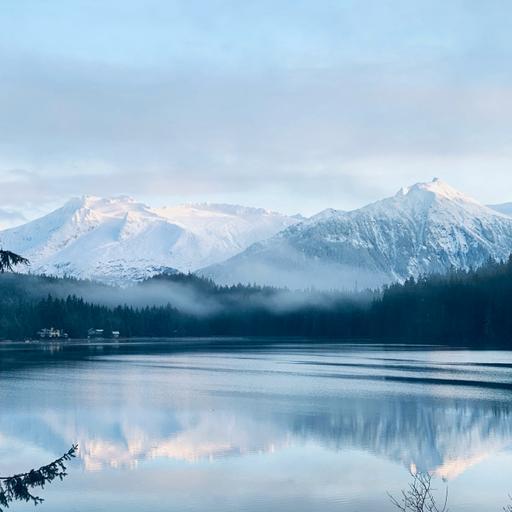 Moose and Cake Mix: Inside The Alaskan Diet
