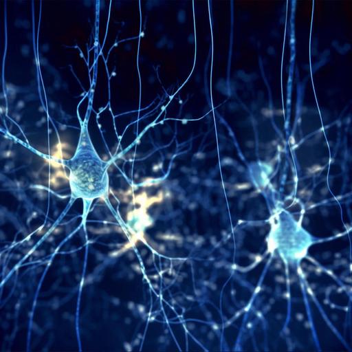 Des neurones, l'inflammation chronique et des médicaments à effets secondaires