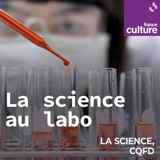 Détecter un atome unique par résonnance magnétique : l’expérience héritière du Nobel de physique 2025