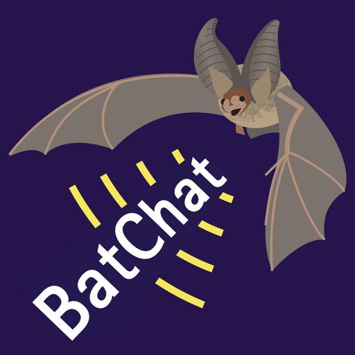 From Discovery to Recovery; Three Decades of Bat Science at Stackpole