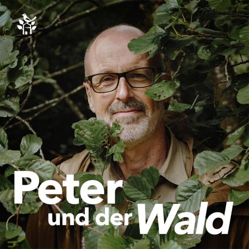 Erfolge im Naturschutz mit Dr. Carsten Nowak