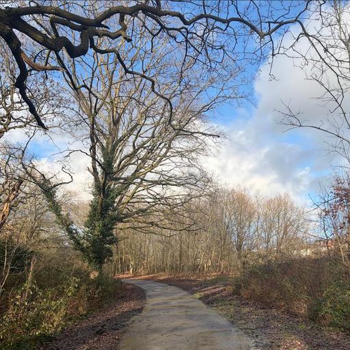 Walking along the Pymmes Brook, London, UK on 16th January 2026 – by Siddharth Khajuria