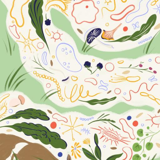 Getting into the Weeds with Mo Wilde