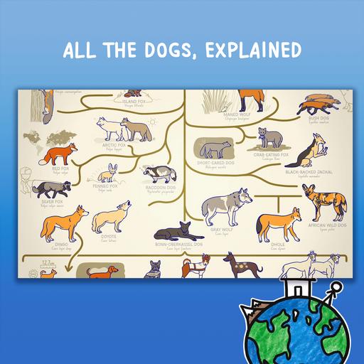 ALL THE DOGS, EXPLAINED