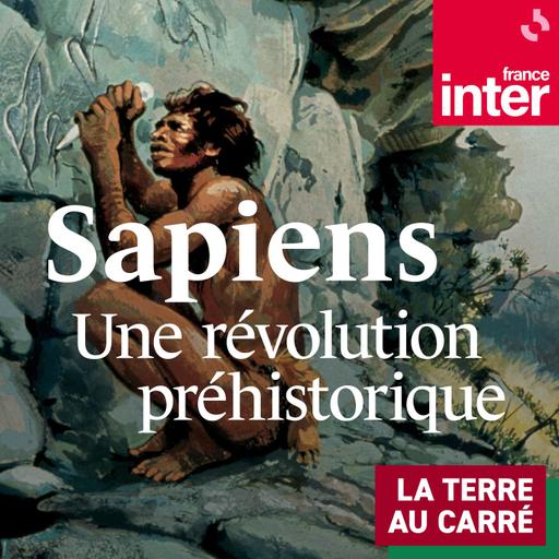 Sapiens, une révolution préhistorique 1 : Les origines africaines d'Homo sapiens