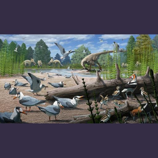 Ancient Birds Nested in the Arctic, Too