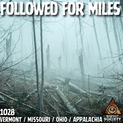 Followed for Miles, Rocks from the Dark, and a Thing at the Tent Door