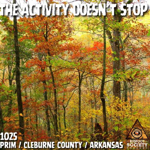Living With Bigfoot in Rural Arkansas | Footprints, Sightings, and Ongoing Activity