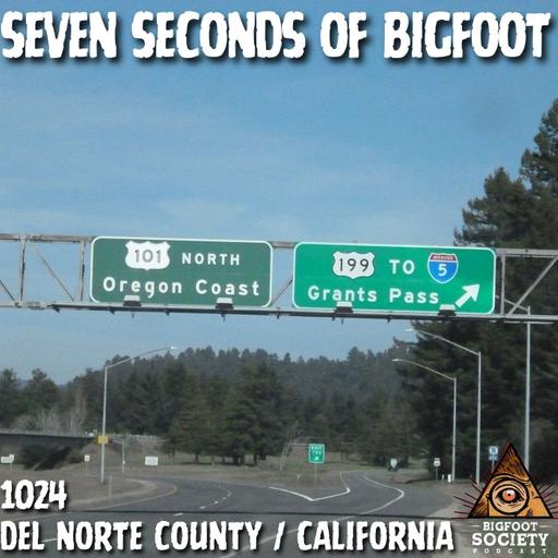 I Drove Past Something Massive on a Dark California Mountain Road!