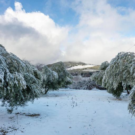 Mesa de redacción: La primera vez que ves la nieve
